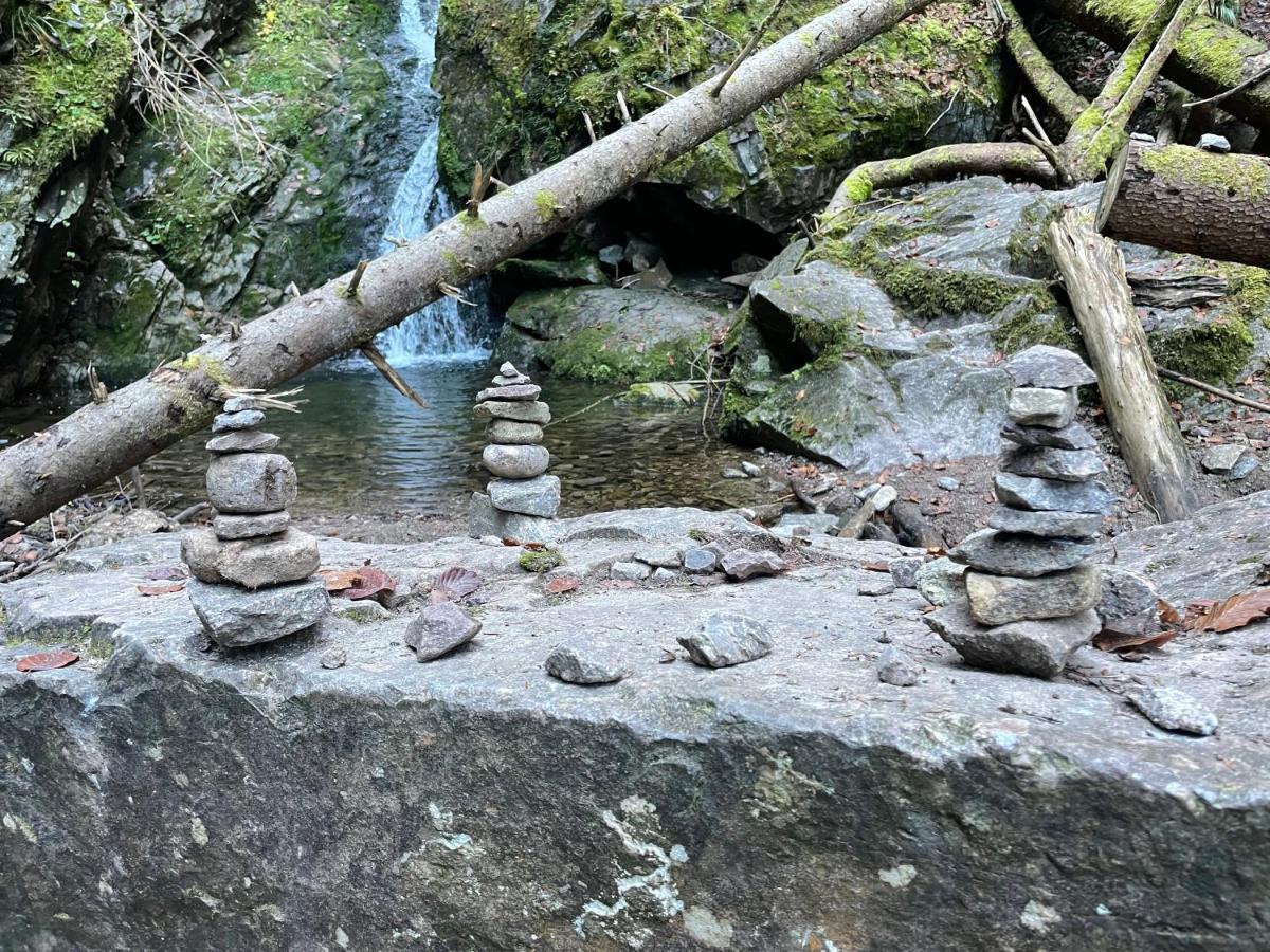 Ferienwohnung Am Schluchsee Exteriér fotografie